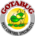 Gotabug Logo